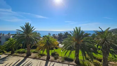 a group of palm trees in a park at Cardellini 10- vue mer-piscine en résidence in Sari Solenzara