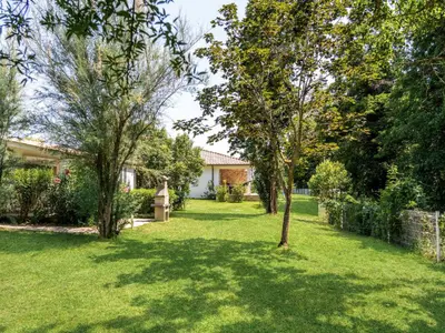 a yard with trees and a house at Holiday Home A Suara-2 by Interhome in Ghisonaccia