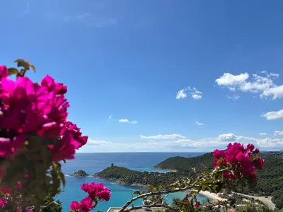 a view of the ocean with pink flowers at CAROLE F3 in Sainte-Lucie de Porto-Vecchio