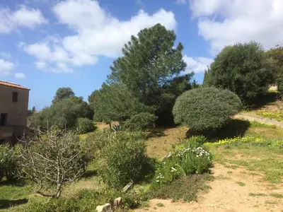 a garden with trees and bushes on a hill at Suarella in Propriano