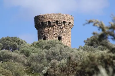 a castle on top of a hill with trees at Suarella in Propriano