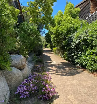 a garden with purple flowers next to a sidewalk at Résidence Cala Sultana Appartement T2 in Porto-Vecchio