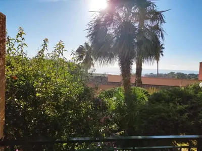 a palm tree in a garden with the sun behind it at Superbe T1 neuf avec vue mer sur Marinella in Ajaccio