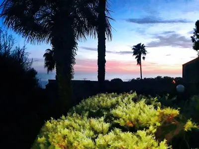 a view of a garden with palm trees and bushes at Superbe T1 neuf avec vue mer sur Marinella in Ajaccio