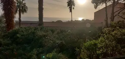 a view of the ocean from a house with palm trees at Superbe T1 neuf avec vue mer sur Marinella in Ajaccio
