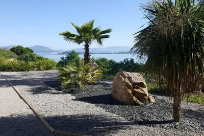 a road with two palm trees and a rock at L'Ebene in Coti-Chiavari