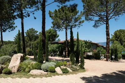 a garden with trees and rocks in front of a building at Hotel Restaurant Mariosa in Porto-Vecchio