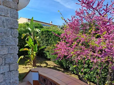 a bench in a garden with purple flowers at Villa PLEIN SOLEIL- Plage d'Argent à 150 m - 150 m from beach in Coti-Chiavari