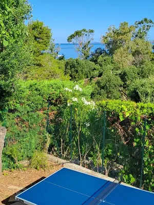 a blue tennis court with trees in the background at Villa PLEIN SOLEIL- Plage d'Argent à 150 m - 150 m from beach in Coti-Chiavari