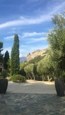 a park with trees and a mountain in the background at Villa Milanu in Oletta