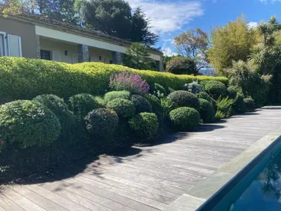 a row of bushes next to a house at Villa Milanu in Oletta