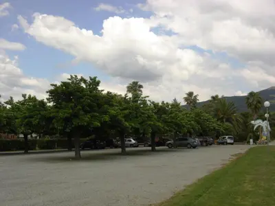 a parking lot with a bunch of trees and cars at Le Banana's Hotel in Aléria