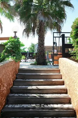 a flight of stairs with a palm tree in the background at Le Banana's Hotel in Aléria