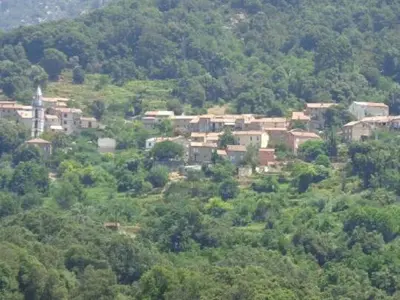 a group of houses on a hill with trees at Peri village in Peri