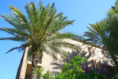 a group of palm trees in front of a building at Hôtel Colombo- Porto Corse in Porto Ota