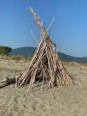 a large pile of sticks in the sand at Residence Santa Lucia, studio avec piscine , vue mer et pied dans l'eau , Moriani-Plage in Santa-Lucia-di-Moriani