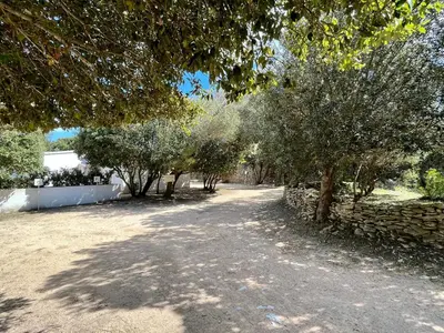 a dirt road with trees and a stone wall at Domaine de Licetto in Bonifacio