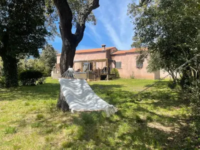 a hammock tied to a tree in front of a house at Chez Chris Mare & Macchia in Porto-Vecchio