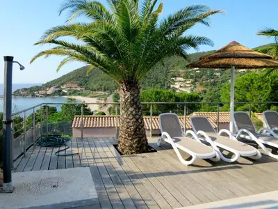a group of chairs and an umbrella and a palm tree at Holiday Home Villa Ottavi by Interhome in Sainte-Lucie de Porto-Vecchio