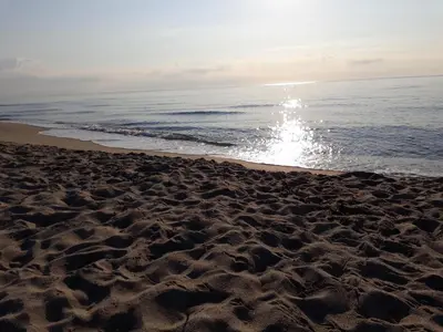 a sandy beach with the ocean in the background at f3 vue mer et montagne in Ventiseri