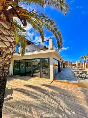 a building with a palm tree in front of it at Résidence San Pellegrino in Folelli