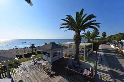 an aerial view of a beach with a palm tree at Résidence San Pellegrino in Folelli