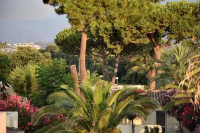 a group of palm trees and flowers in a yard at Résidence San Pellegrino in Folelli