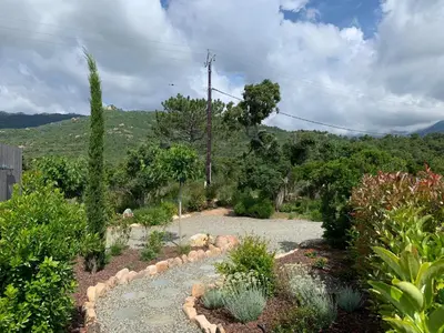 a garden with cacti and other plants and trees at Casa Fiumu Oso in San-Gavino-di-Carbini