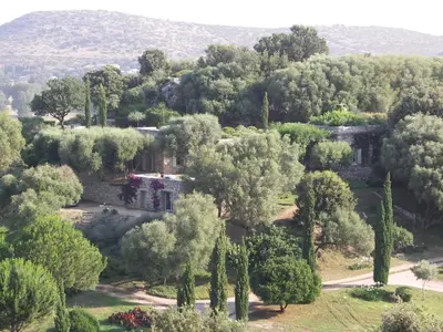 an aerial view of a house surrounded by trees at Domaine Panciarella in Saint-Florent