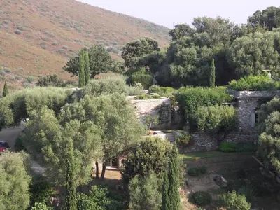 a garden with trees and a hill in the background at Domaine Panciarella in Saint-Florent