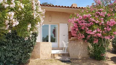 a house with pink flowers and a chair in front of it at Résidence Liccia di Furu in Porto-Vecchio