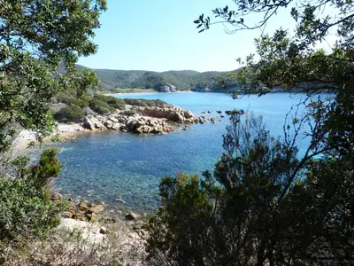 a view of a body of water with trees at Résidence Liccia di Furu in Porto-Vecchio