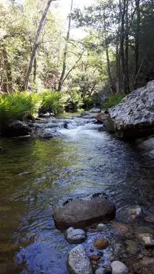 a stream of water with rocks in a forest at U mè sognu in Arbellara