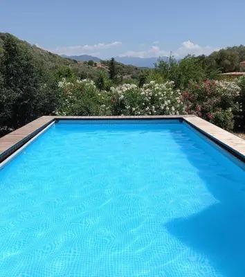 a blue swimming pool with flowers in the background at U SOLE in Ajaccio