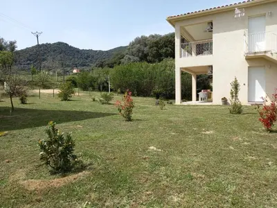a house with a yard with trees in front of it at U MANDARINU in Ajaccio
