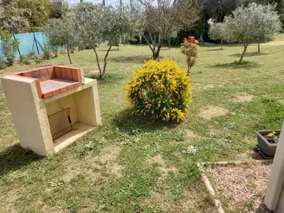 a birdificialificialificialificialificialificialificialificialificialificialificialificialificialificial at U MANDARINU in Ajaccio