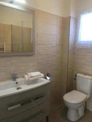 a bathroom with a toilet and a sink and a mirror at U MANDARINU in Ajaccio