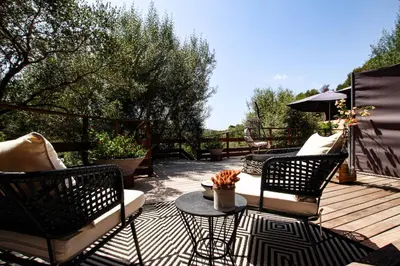a backyard with a swimming pool and a tree at A Vadina Suite et chambres de charme Porticcio in Porticcio