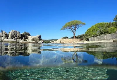 a body of water with rocks and a tree in the background at Casa Murtetu 3 étoiles in Porto-Vecchio