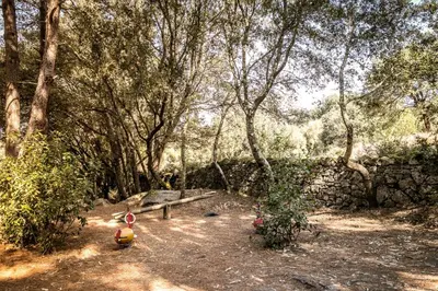 a park with a bench in the middle of a forest at Camping Olva - Maeva in Sartène