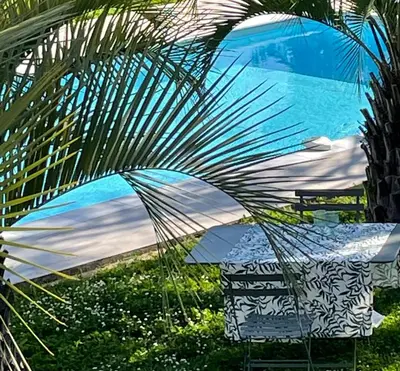 a large palm tree sitting next to a table at Villa Macalia in Pietrosella