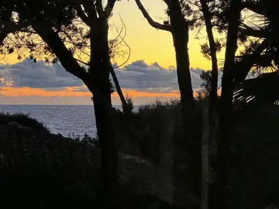 a sunset over the ocean with trees in the foreground at Villa Macalia in Pietrosella