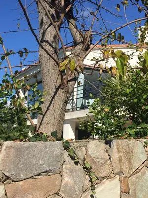 a tree behind a stone wall with a building in the background at Villa Macalia in Pietrosella