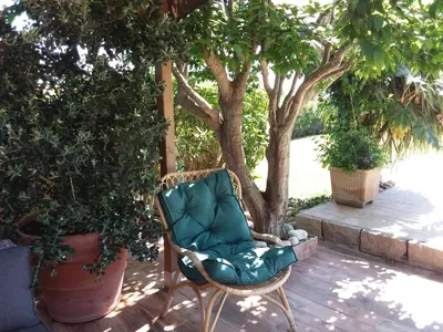 a chair sitting on a deck under a tree at Magnifique villa piscine Propriano in Olmeto