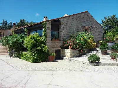 a house with potted plants in front of it at Magnifique villa piscine Propriano in Olmeto