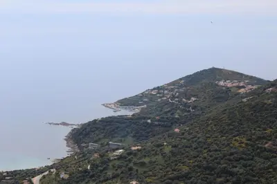 a hill with trees and the ocean on it at Paomia in Cargèse