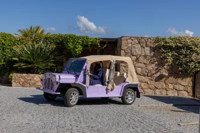 a purple golf cart parked in front of a stone wall at Villa Kirssis in Porticcio