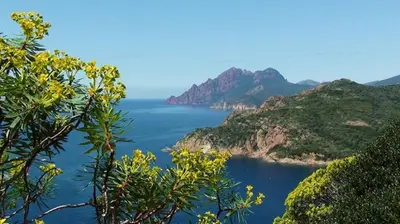 a view of a large body of water with mountains at Résidence Colombara in Cargèse