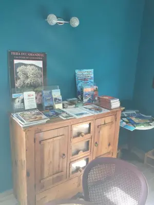 a wooden cabinet with books on it next to a chair at Appart'Hôtel A Punta in Galeria