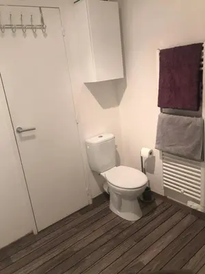 a bathroom with a white toilet and a shower at Joli T2 récent 'Le VIVALDI' in Ajaccio